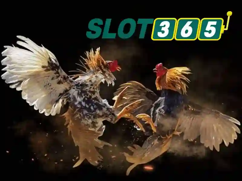 Gioi thieu ve Slot365 Gioi thieu ve Slot365