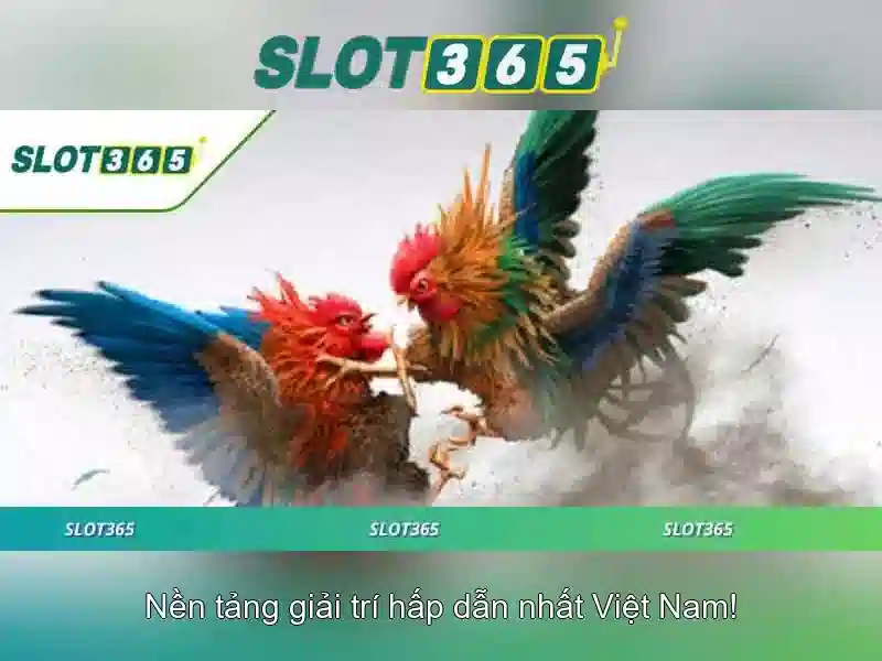 Slot365 là gì