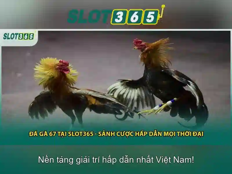 Slot365: Tổng quan về nền tảng casino trực tuyến