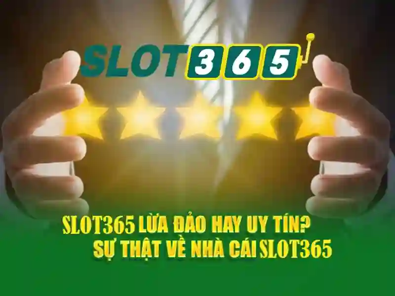 Slot365 - Nền tảng slot trực tuyến