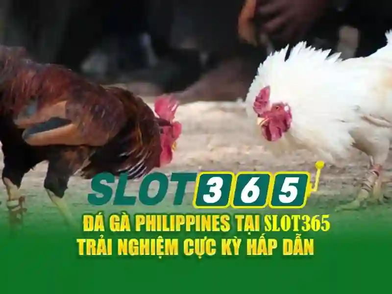 Phân tích các tính năng của Slot365 Phân tích các tính năng của Slot365