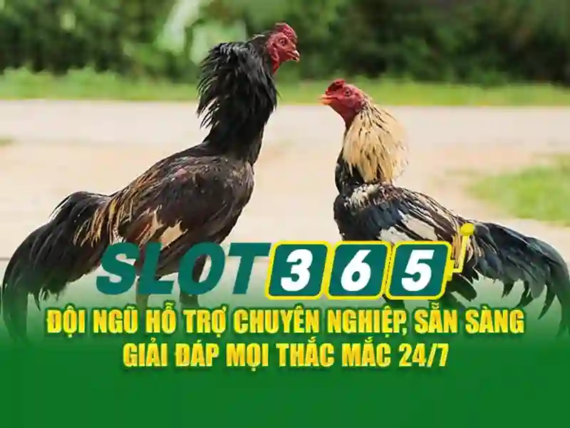 Slot365 – Trải nghiệm chơi slot trực tuyến đỉnh cao