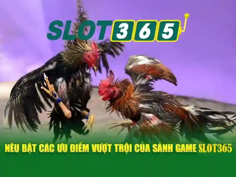 Slot365 - Trải nghiệm casino slots trực tuyến đỉnh cao