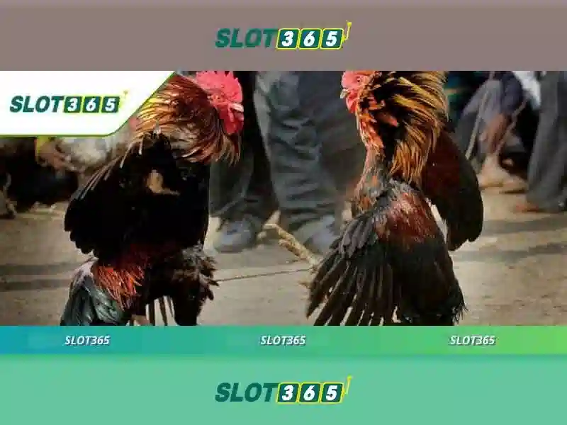 Giới thiệu Slot365 Giới thiệu Slot365