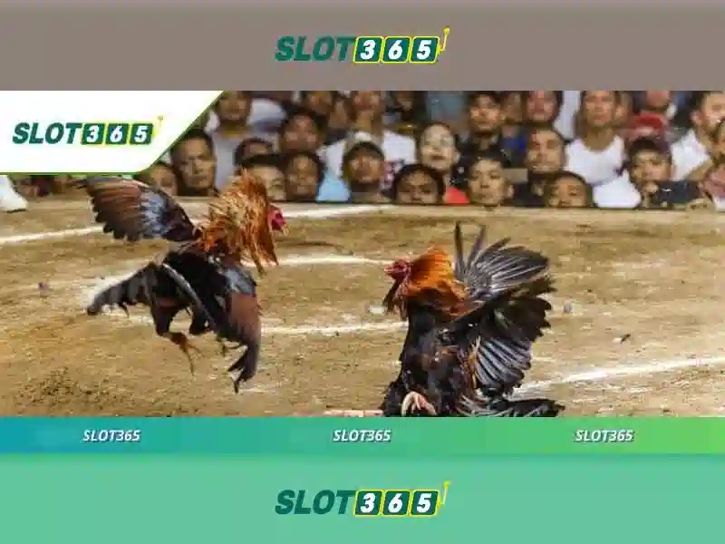 slot365 tại – Tổng quan và giá trị cốt lõi