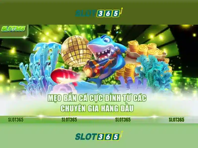 Slot365 là gì? Trải nghiệm máy slot trực tuyến hàng đầu