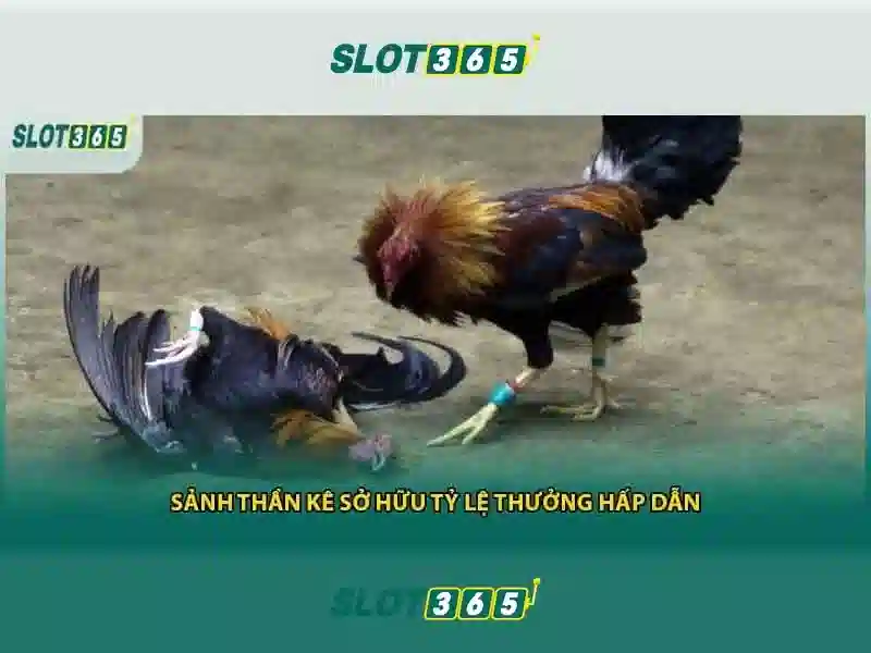 Slot365 tổng quan