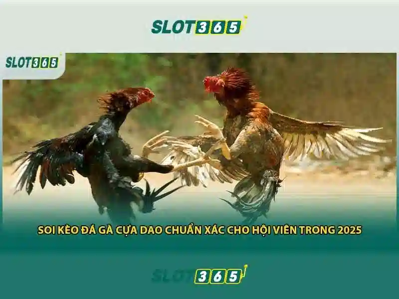 Slot365: Trải nghiệm slot trực tuyến đỉnh cao