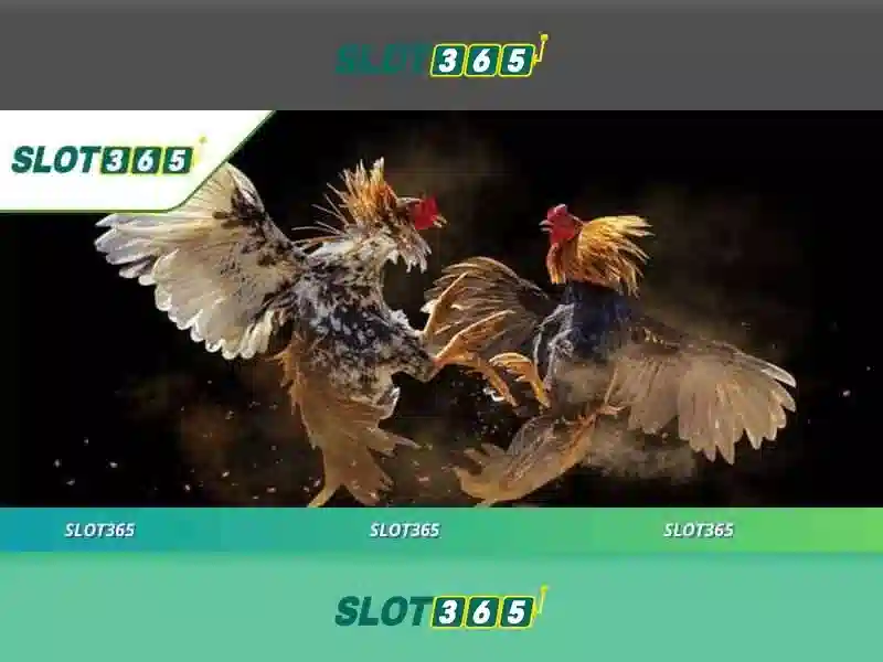 Slot365: An toàn và trách nhiệm