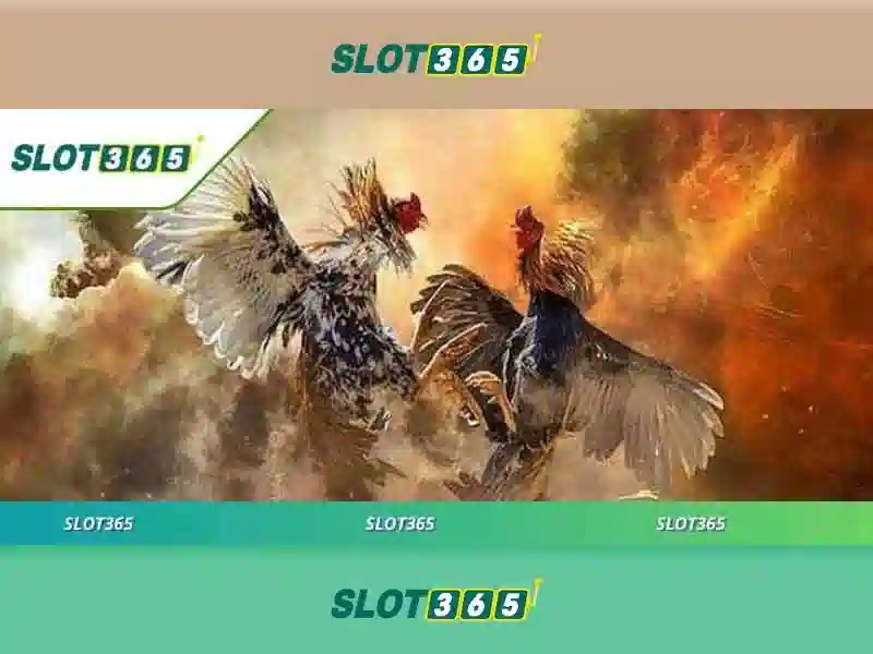 Slot365: Nền tảng slot trực tuyến đáng tin cậy cho người chơi Việt