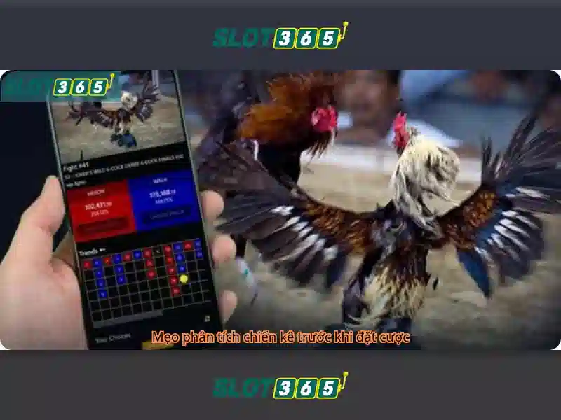 Slot365: Trải nghiệm quay số trực tuyến hàng đầu