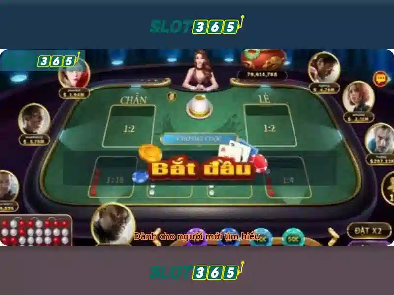Slot365: Trải nghiệm chơi slot và casino trực tuyến hàng đầu