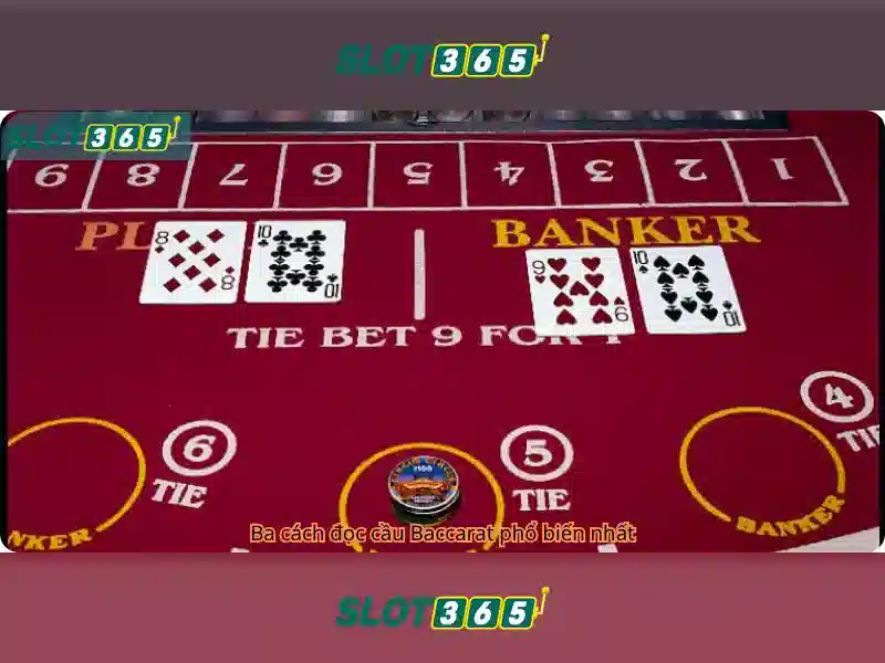 Slot365 – Nền tảng casino trực tuyến hàng đầu