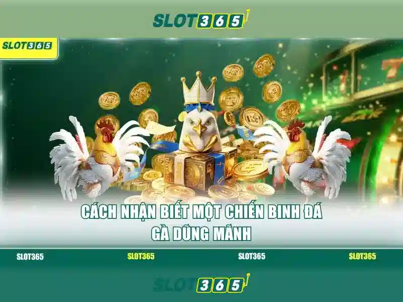 Các tính năng nổi bật của Slot365 Các tính năng nổi bật của Slot365