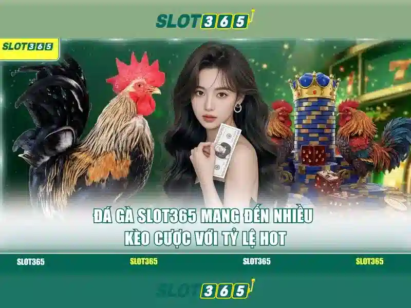 Slot365: Trải nghiệm Slot trực tuyến hàng đầu