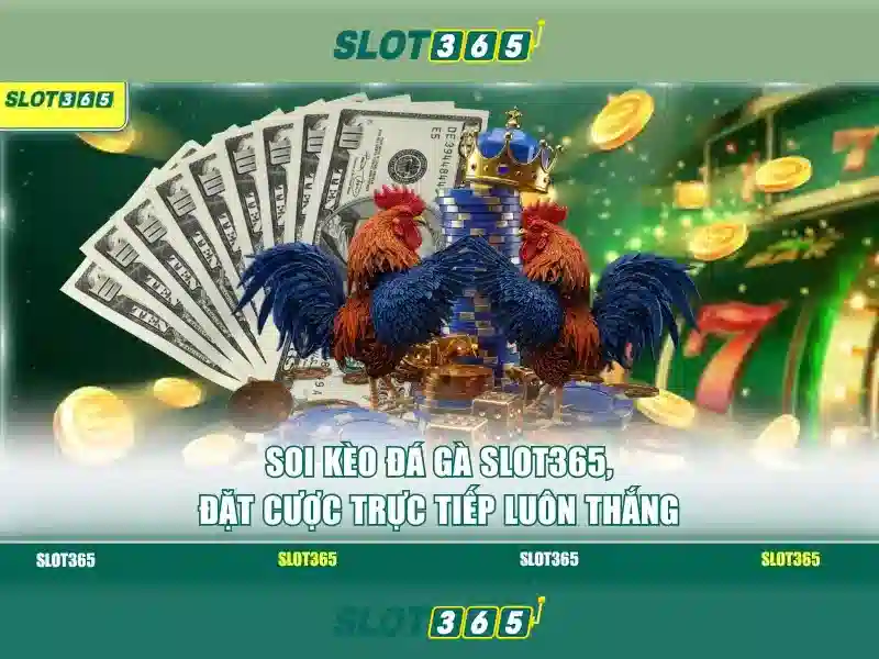 Slot365 là gì?