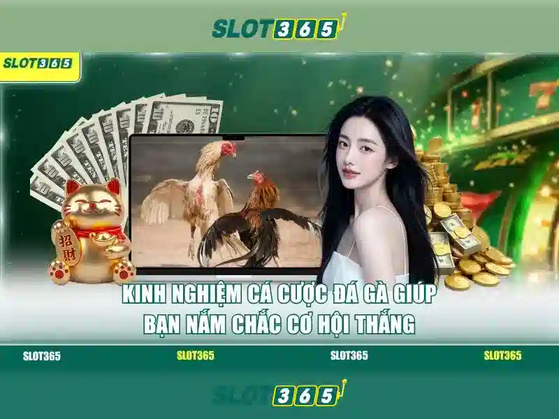 Các tính năng nổi bật
