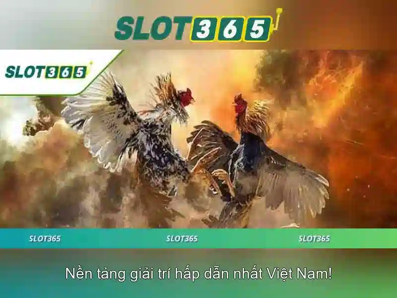 Slot365 là nền tảng chơi slot trực tuyến an toàn và tiện ích