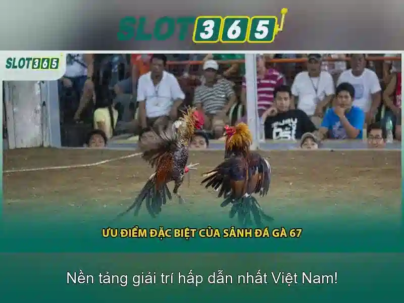 Slot365 - Trải nghiệm chơi slot trực tuyến uy tín