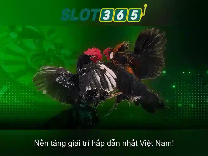 slot365 là gì – tổng quan
