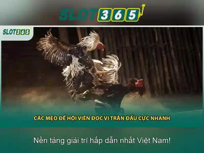 Slot365: Tổng quan về nền tảng slot trực tuyến hàng đầu