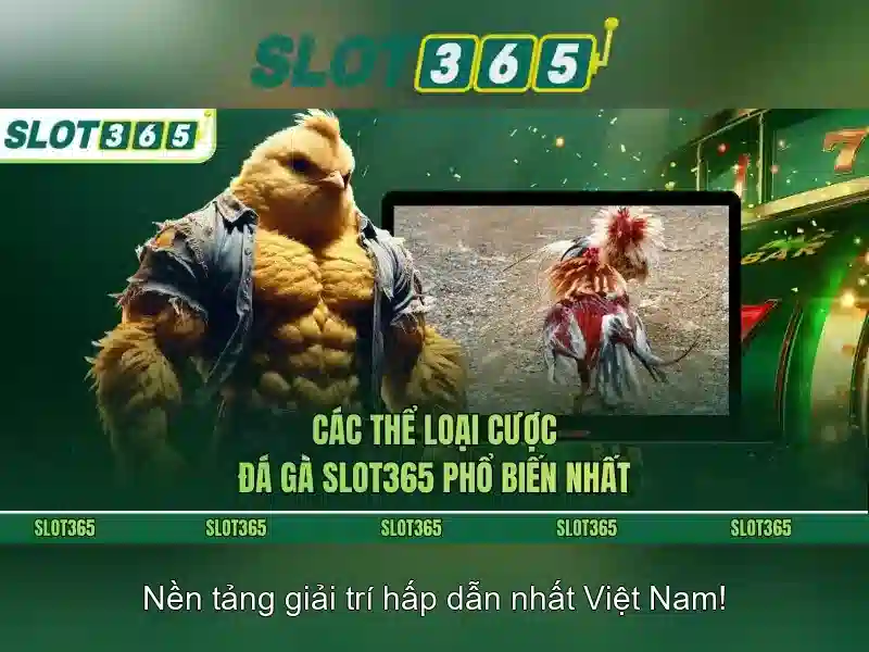 Slot365: Tổng quan và hướng dẫn chơi slot trực tuyến