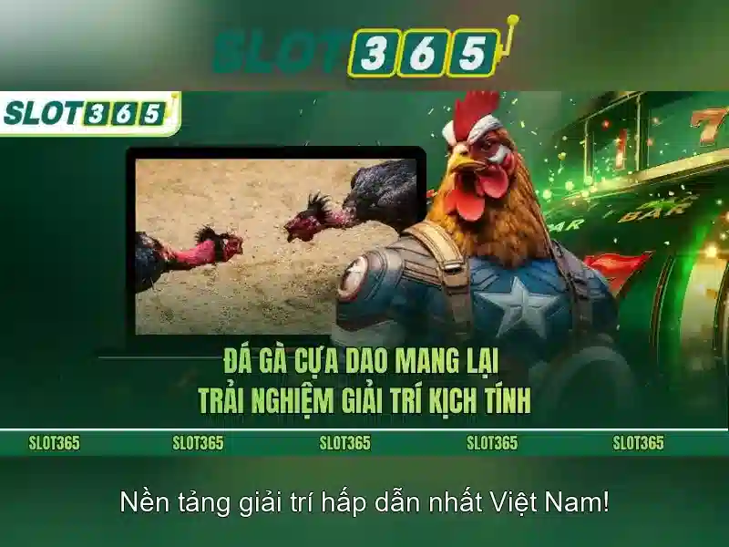 Giao diện và trải nghiệm người dùng