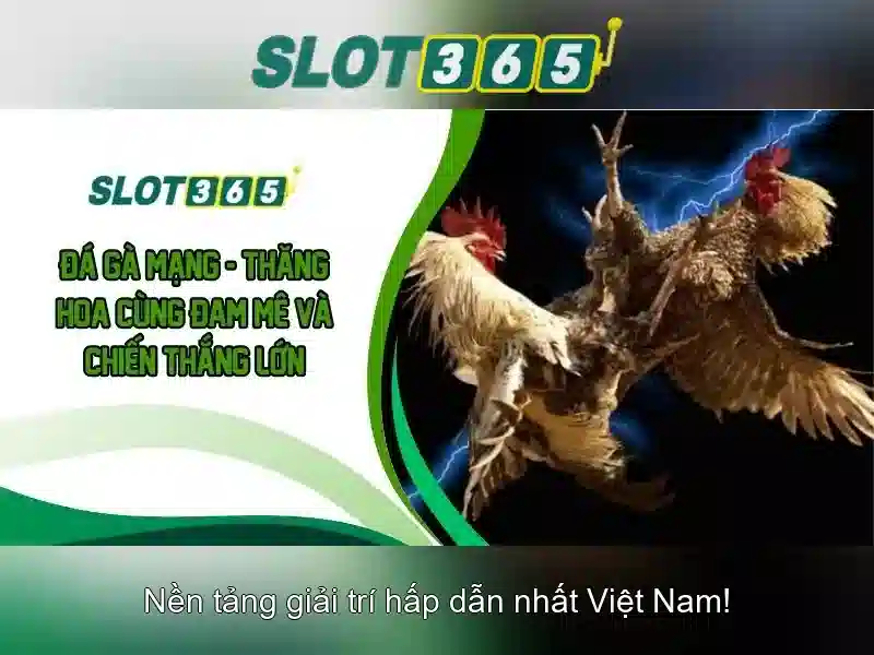 Slot365 là gì và trải nghiệm slot trực tuyến đỉnh cao
