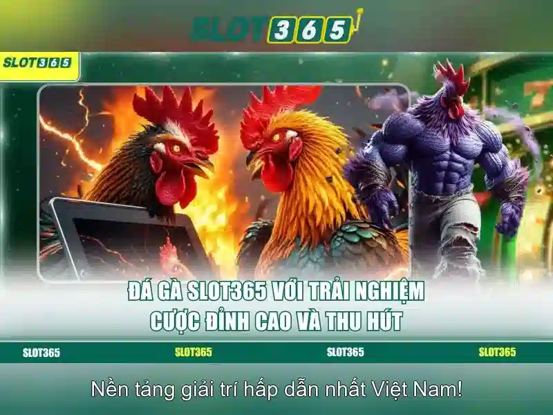 Trải nghiệm người dùng tại Slot365 Trải nghiệm người dùng tại Slot365