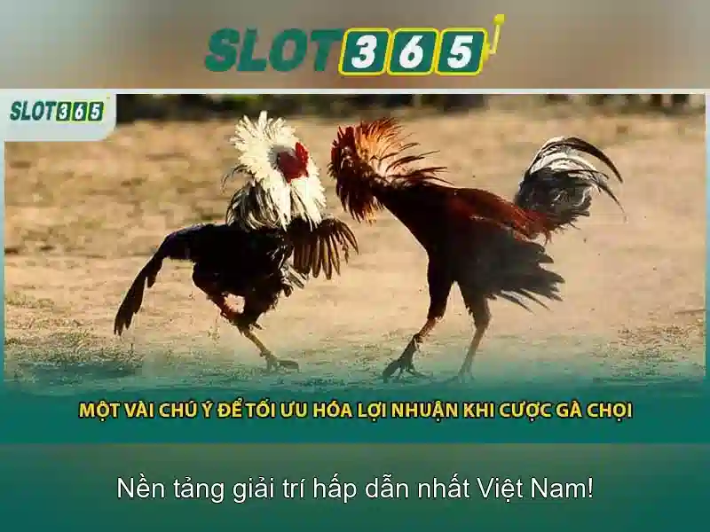 Tổ hợp trò chơi slots đa dạng
