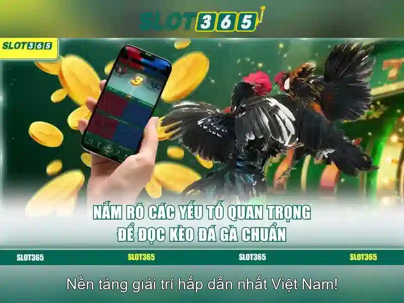 Slot365: Tổng quan và đánh giá