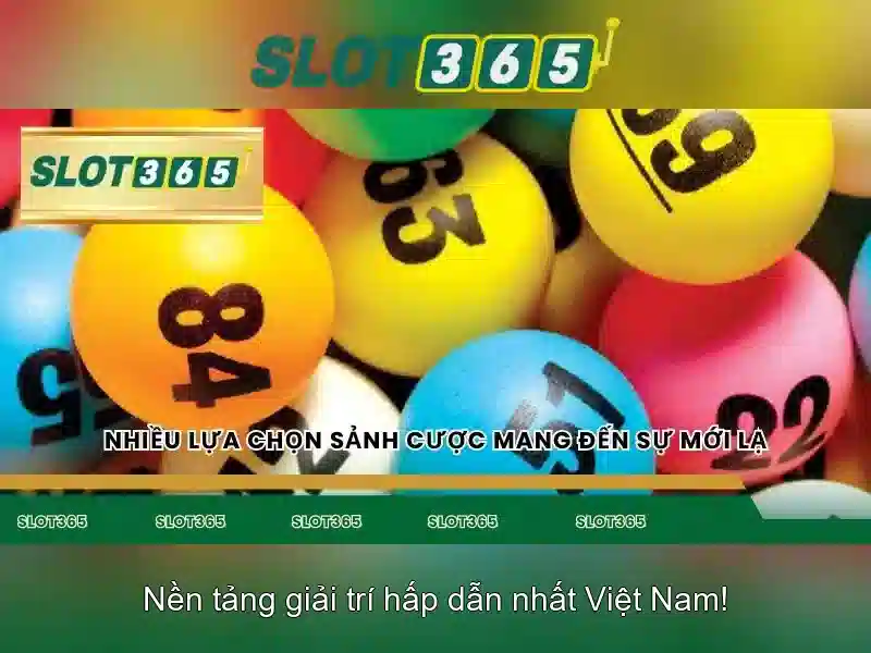 Khuyến mãi và chương trình thưởng