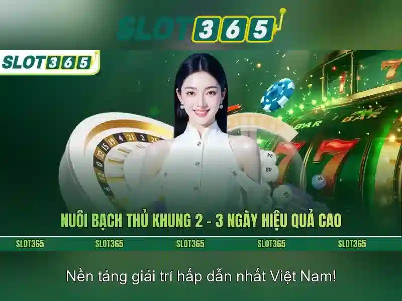Slot365: Nền tảng chơi slot trực tuyến đáng tin cậy và trải nghiệm đỉnh cao