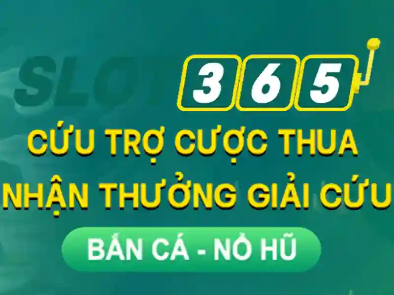 Các trò chơi và thưởng Các trò chơi và thưởng