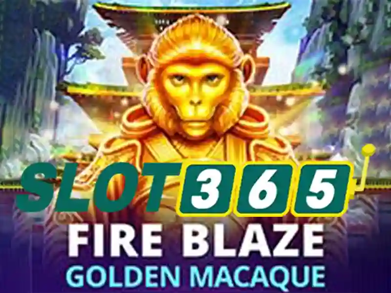 Trò chơi slot phong phú và nhà phát triển uy tín Trò chơi slot phong phú và nhà phát triển uy tín