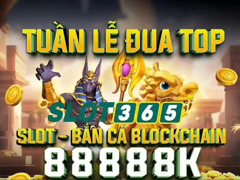 Slot365 - Nền tảng giải trí casino trực tuyến